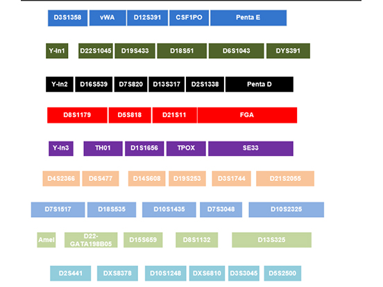 最新突破·10色熒光檢測(cè)平臺(tái)